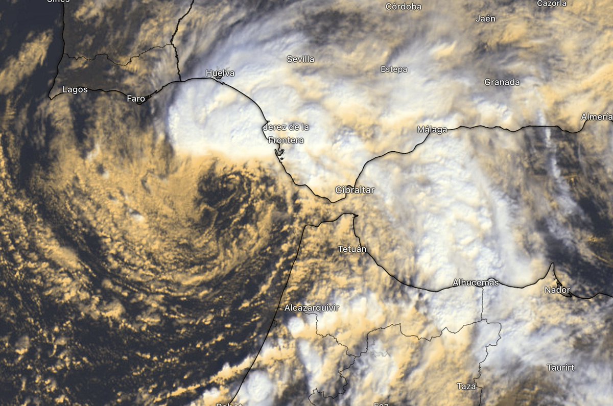 Meteo y Clima Extremos tweet media