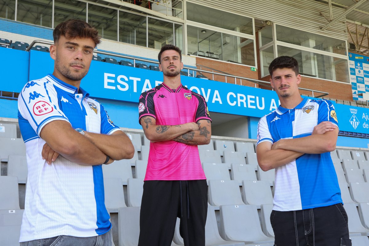 CamisetasArlequinadas tweet media