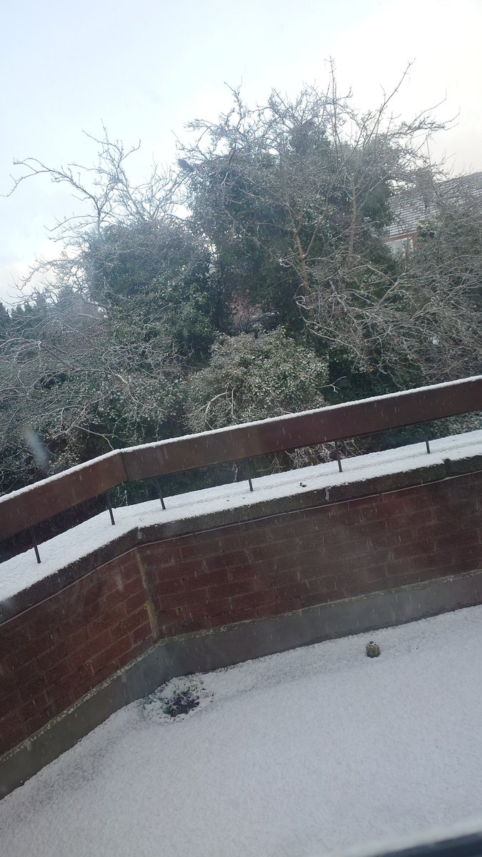 The fact I confused stared when I opened the blinds