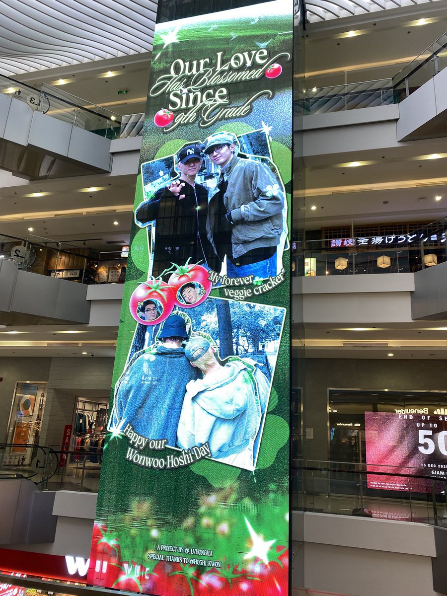 kwonushii's tweet image. indeed, a soonwoo day in Hanoi, Vietnam 💜💛
#wonsoon #soonwoo #순우 #호시 #원우

pcr. @xiariweijin_