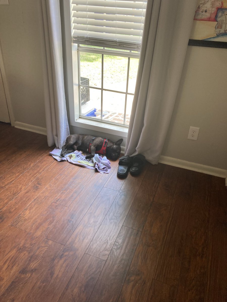 Pete Young tweet media