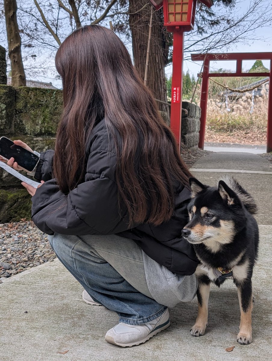 黒柴©️（感謝） 黒柴