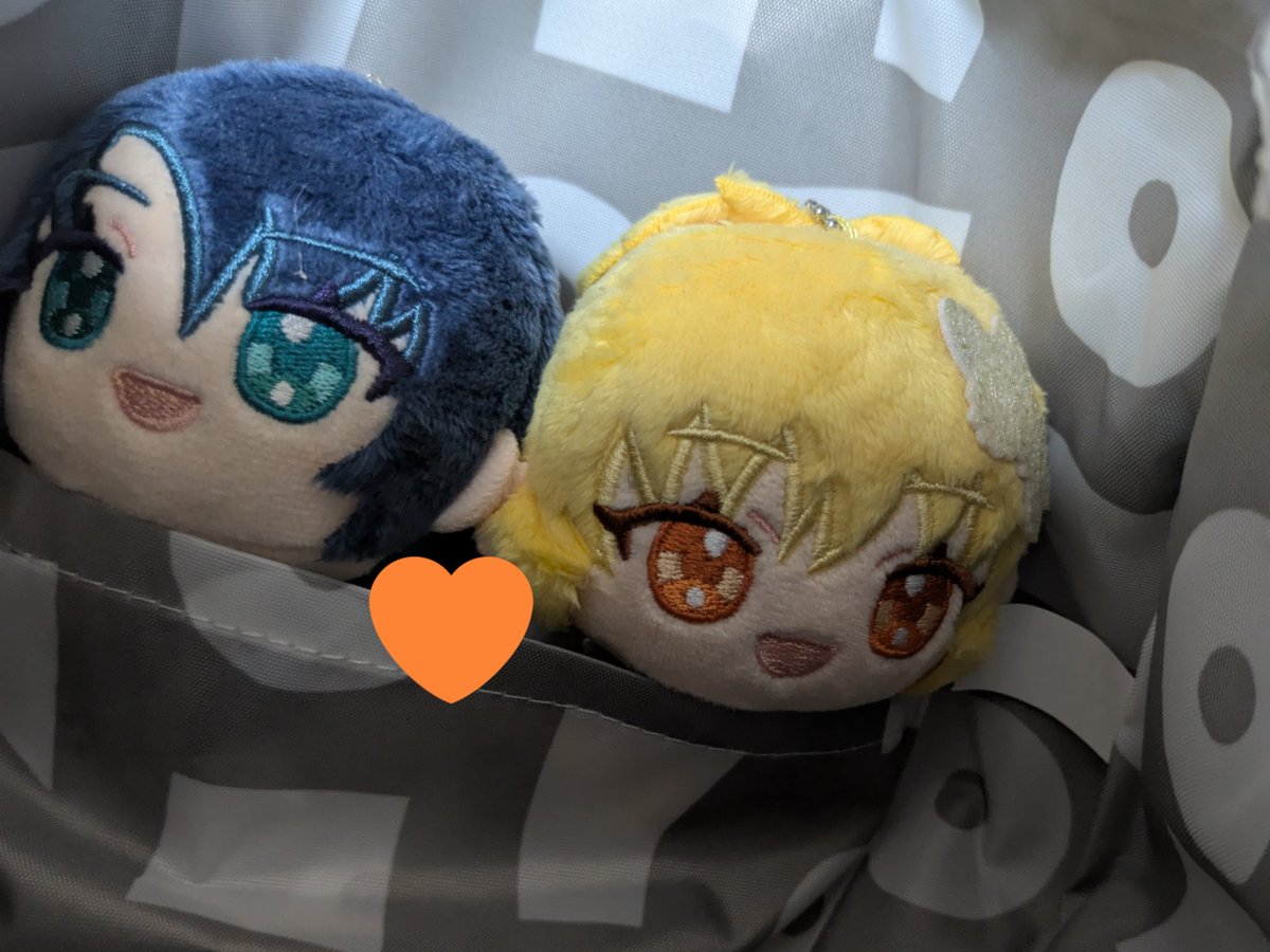 きなこ (@kinakkokko128) / Posts / X