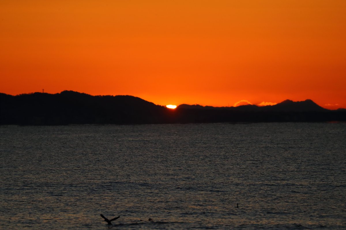 krauru's tweet photo. 2026年01月04日
房総半島上空に低層の雲も無く
綺麗な日の出でした https://t.co/eVA2Tv6Dlf