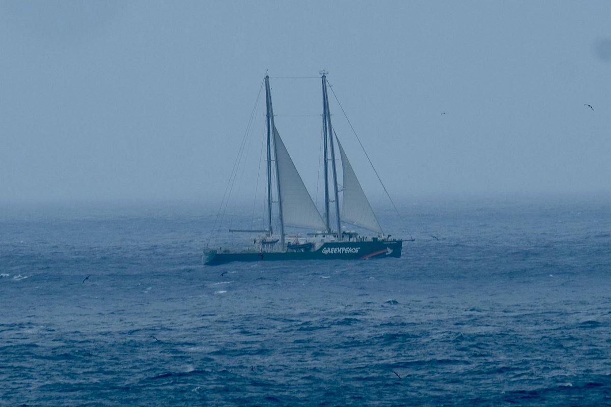 Philip Kendall tweet media