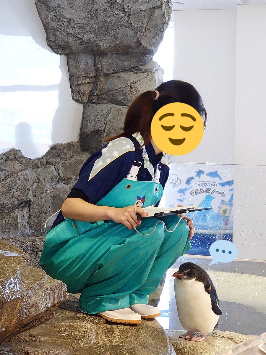 penko_0425's tweet image. 💁‍♀️どしたの〜？
🐣(おねぇさん、大好き。でも恥ずかしい…もじもじ…)

📷️2026年元旦🎍
#海遊館