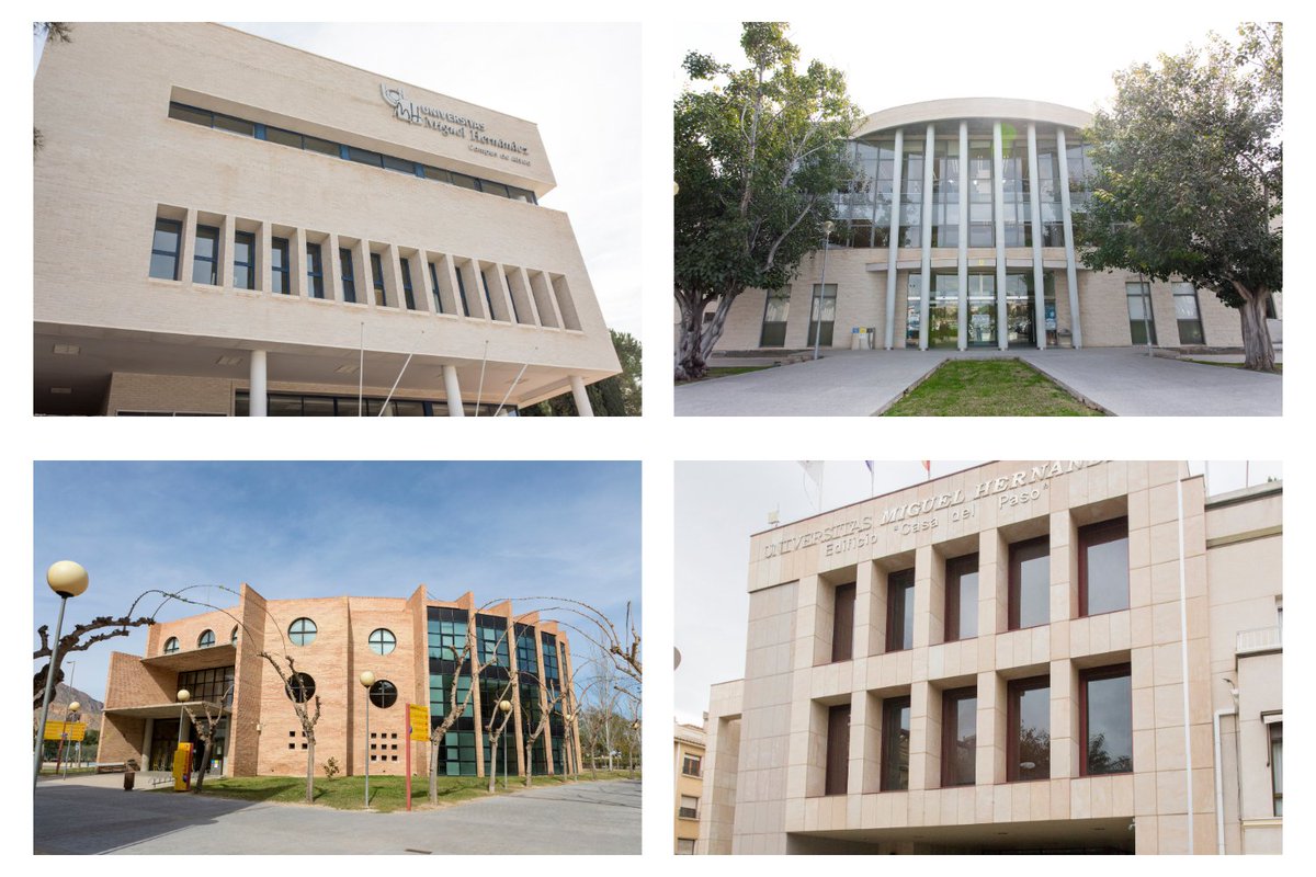 📚La Biblioteca #UMH vuelve tras las vacaciones de Navidad.
🗓️ Desde hoy, te esperamos en nuestro horario habitual para que retomes tus proyectos, lecturas y estudio 📖con todos los recursos que necesitas.
Prepárate para los exámenes en la #Biblio UMH📑