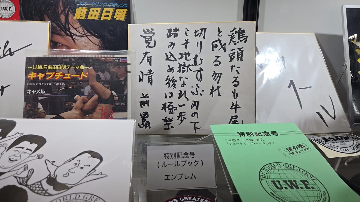 エモすぎた
UWFよ永遠に