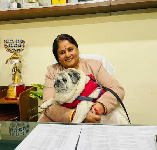 गोदी में डॉगी...
राजस्थान विश्वविद्यालय स्पोर्ट्स बोर्ड बना मजाक? पहले दिन ही सचिव चर्चा में
- कनफर्मेशन वाले असिस्टेंट प्रोफेसरो को दरकिनार करने से उठे सवाल 
 <a href="/RajCMO/">CMO Rajasthan</a>