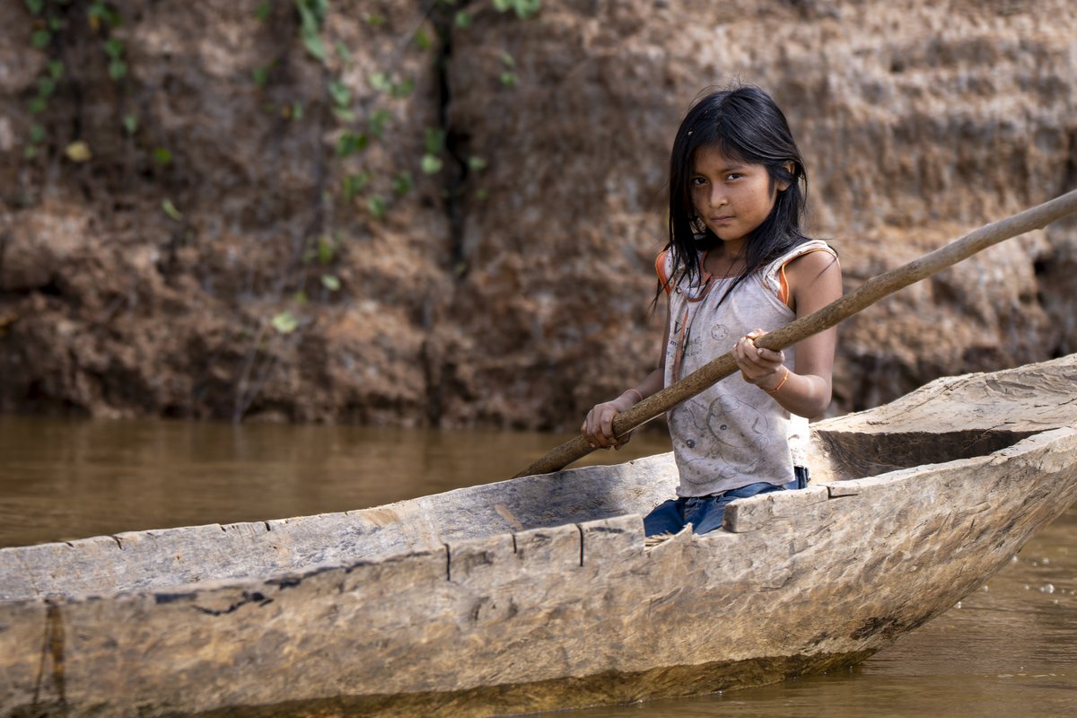 UNESCO's tweet photo. The Amazon Biosphere Reserves Project works to halt biodiversity loss and strengthen resilience across the Greater Amazon Basin.

Since 2021, 42 initiatives have been supported in 8 #UNESCO biosphere reserves across Bolivia, Brazil, Ecuador and Peru, combining scientific, local and Indigenous knowledge to promote sustainable livelihoods, protect ecosystems and improve governance.

Implemented with the support of @LVMH, the project also empowers Youth Networks, ensuring young leaders play an active role in shaping the future of the Amazon.

https://t.co/TH95VTRX53 @unesco_mab