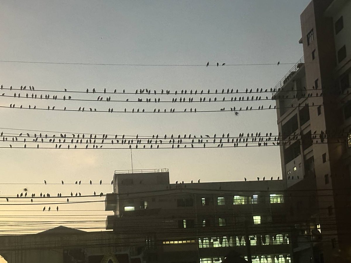 นับซิ กี่ตัว🦜