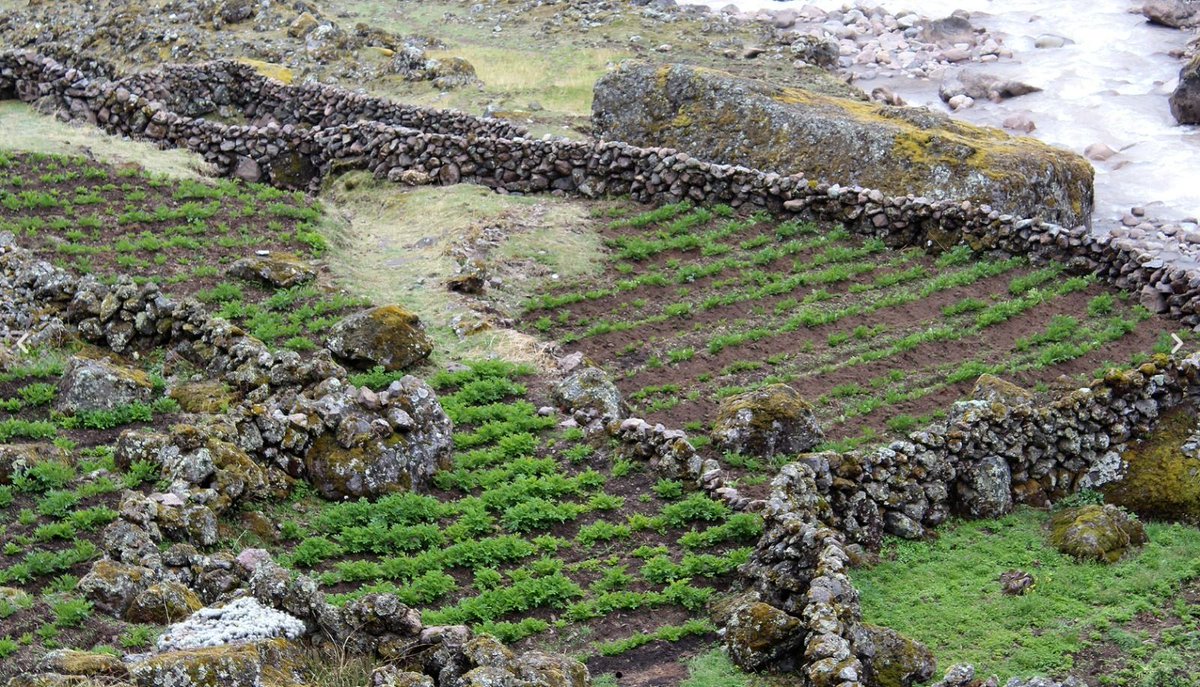 protectedplanet tweet media