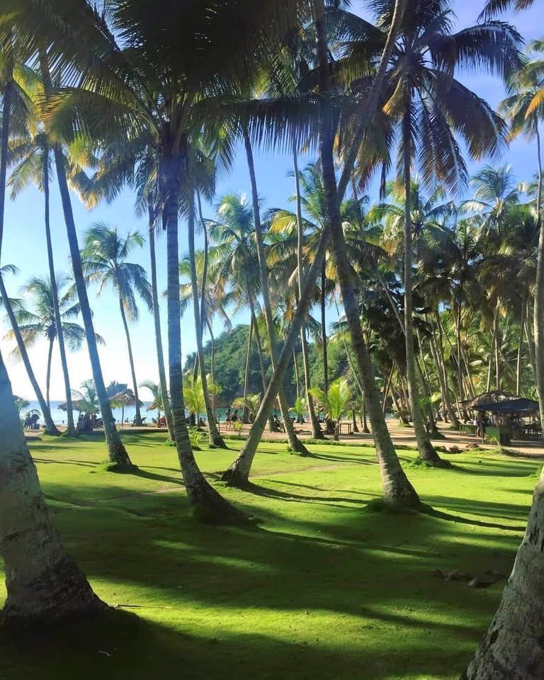 Maravillosa 
Playa MEDINA cerca de Río Caribe en la Península de Paria …Edo Sucre VENEZUELA 
🇻🇪🇻🇪🇻🇪🇻🇪🇻🇪🇻🇪🇻🇪🇻🇪🇻🇪
<a href="/TurismoSucre/">Turismo Sucre</a>