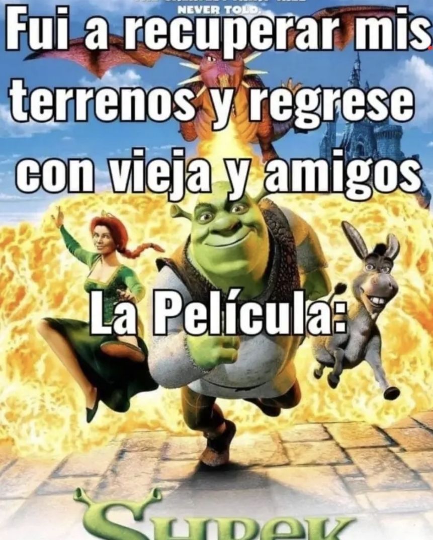 chincheto pirata somali (@wikipistacho) on Twitter photo 