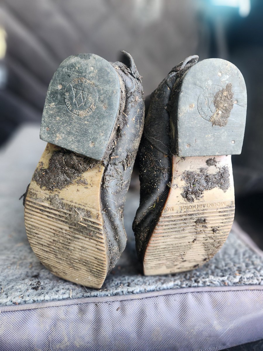 TheMissTweed's tweet image. Christmas comes early when these beauties arrive on your doorstep. 

#ridingboots #leatherboots