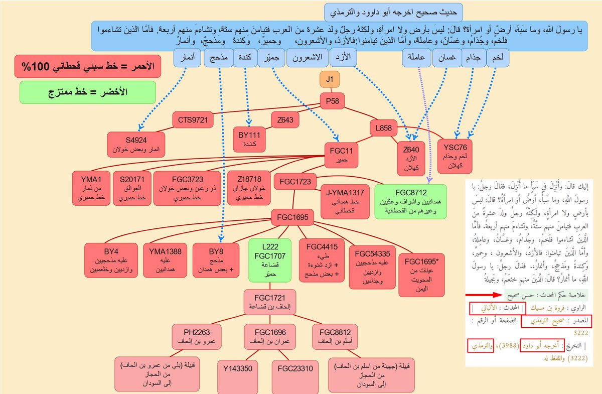 <a href="/LAB1343/">أَبُوالفَازِعَة القَيْسِيّ</a> <a href="/Arabicustodia/">زاخر</a> <a href="/Faleh_Hujailan/">د.م /فالح الحجيلان</a> <a href="/Rabianezar/">المثنى</a> قضاعة من حمير بإجماع النسّابة و الجينات أكدت ذلك أيضاً  📷👇🏻