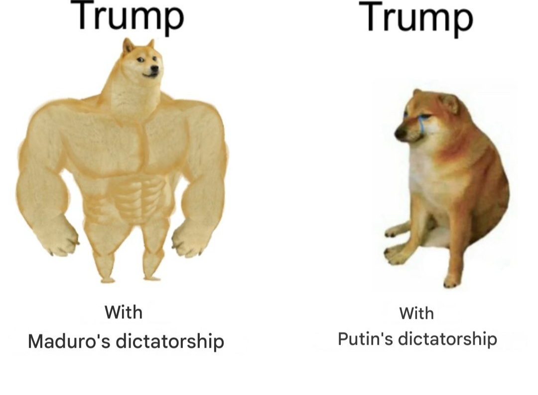 Myriam F. 🇫🇷🇪🇺 (@faccinimyriam) on Twitter photo 