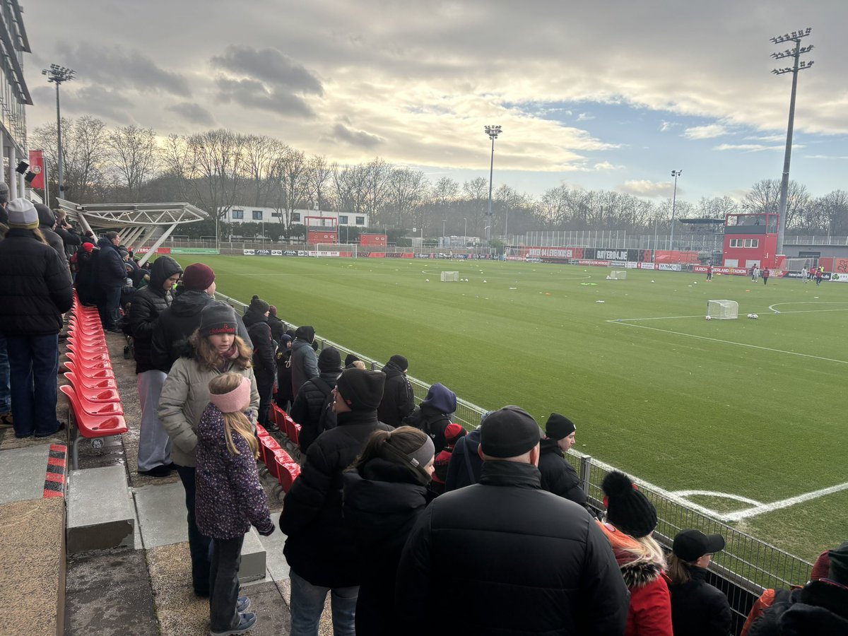 BILD B. Leverkusen tweet media