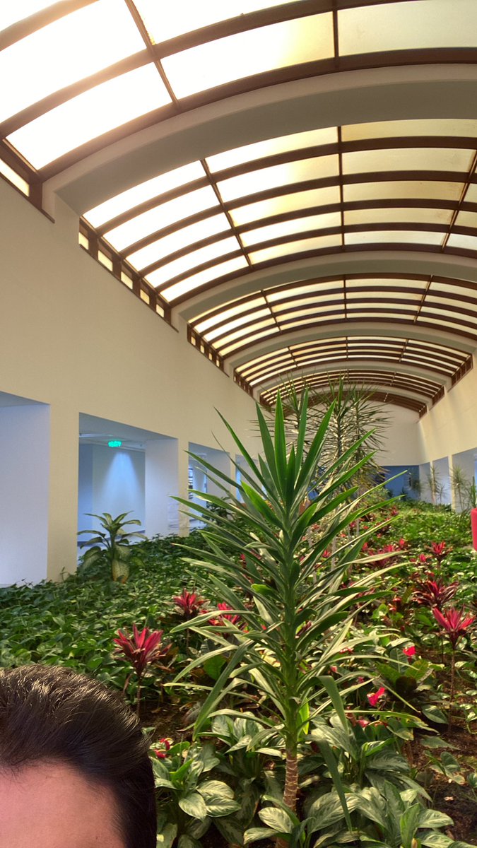 Rayan alshehri tweet media