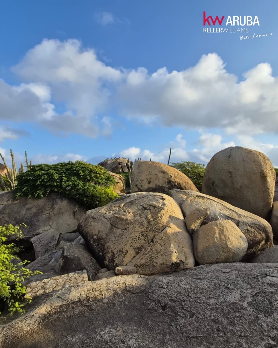 ☀️ Enjoy your Sunday on One Happy Island 🌴
#Sundays