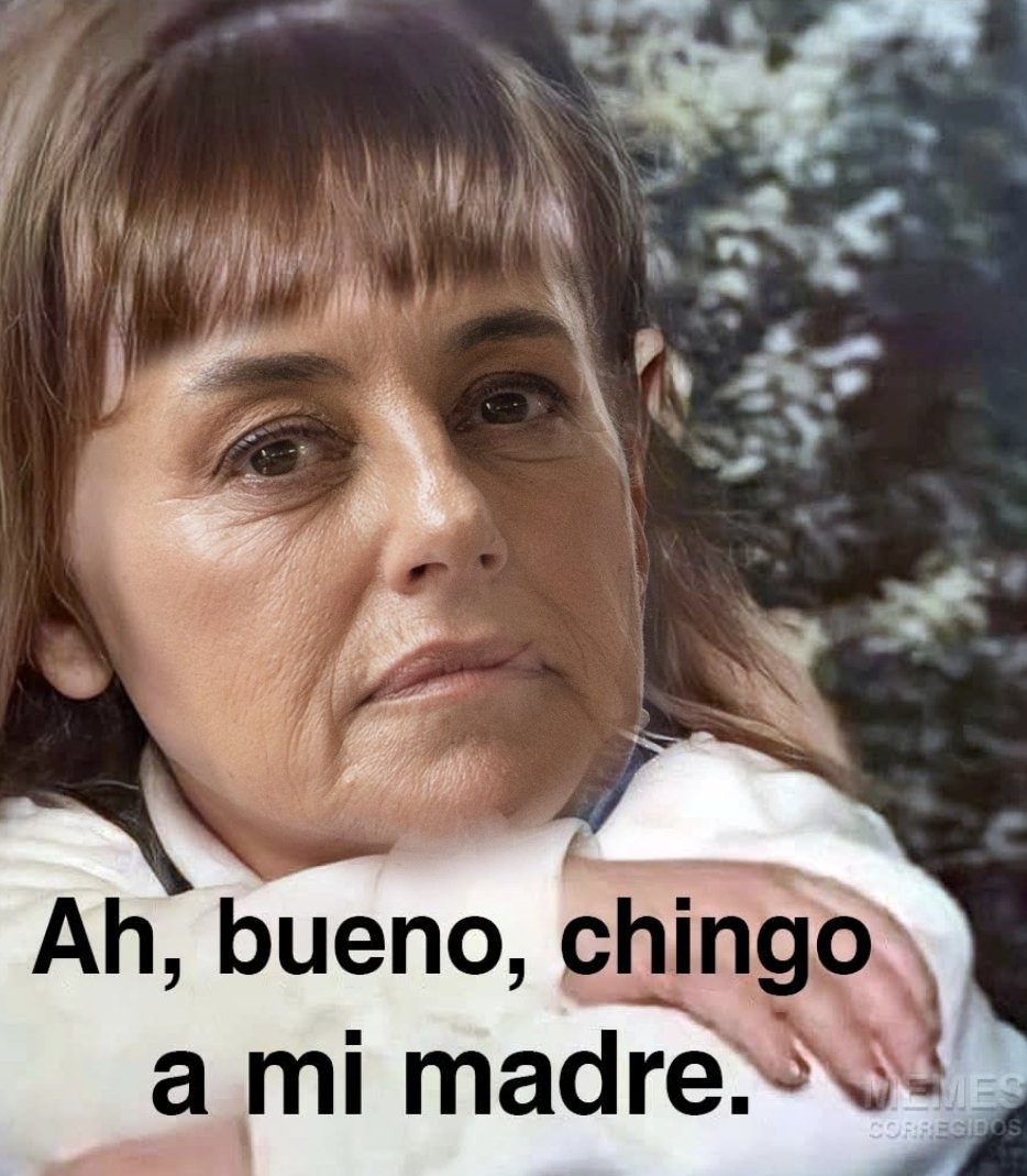 parrucheri's tweet photo. @ray_2d @PartidoMorenaMx @lopezobrador_ Mientras tanto en Palacio Nacional @Claudiashein
: https://t.co/i0OyAdUXPS