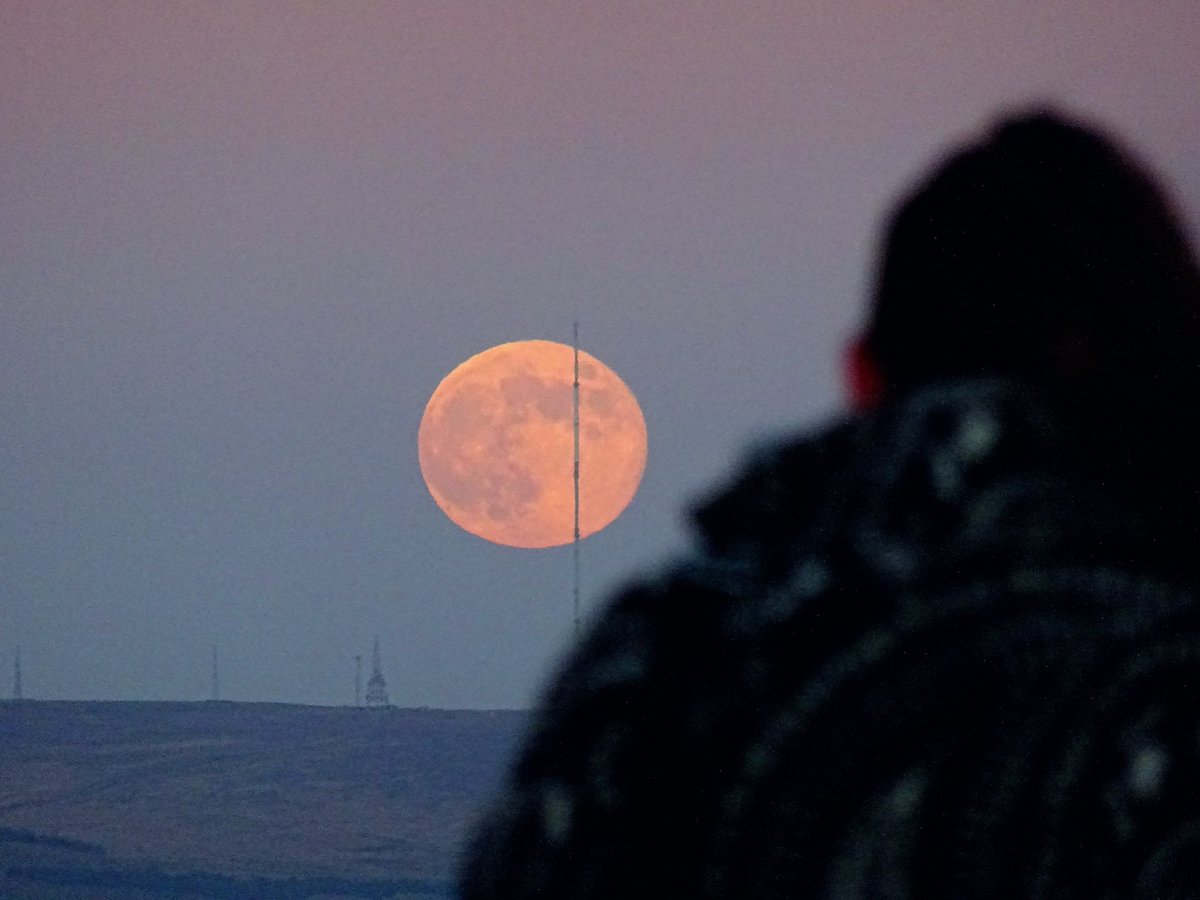 Neil Lawton tweet media