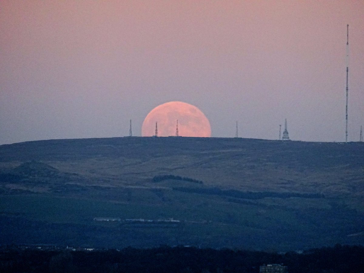 Neil Lawton tweet media