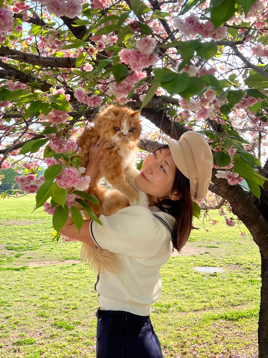 Junko☆ (@junko_dancer) / Posts / X