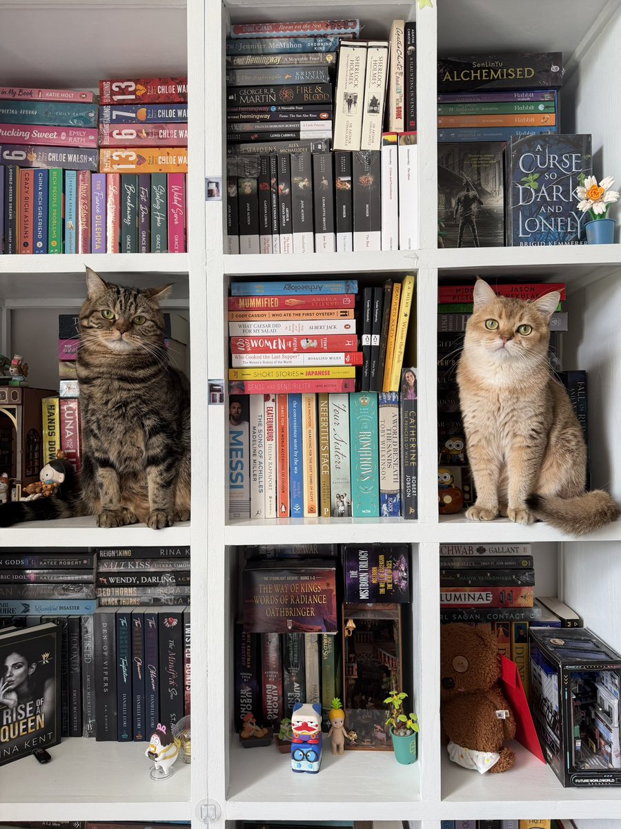 thismojuay🧸🛁 tweet media