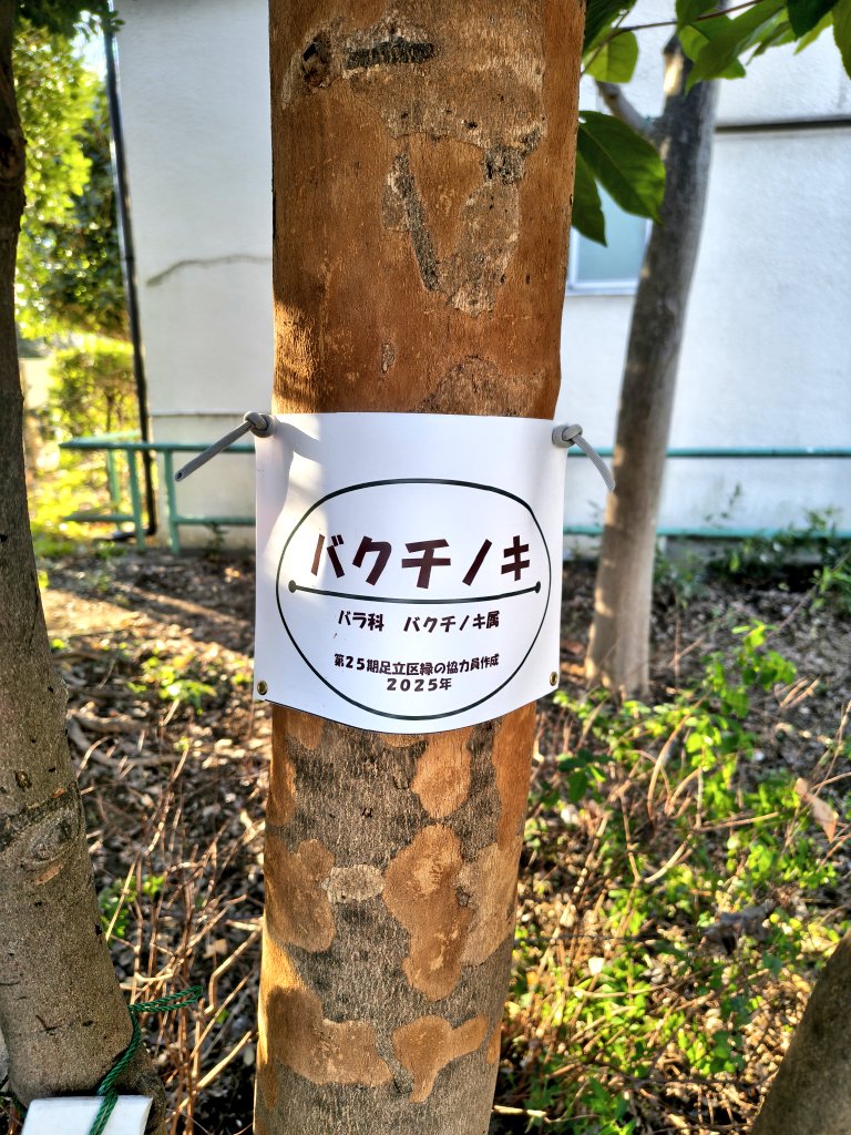 bellsamayo's tweet image. いくら負けたらこんな姿にされてしまうのか…