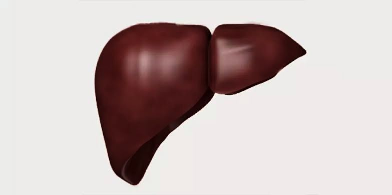 🆗 الكبد لو صَحِي… جسمك كله هيولّع حرق🎀
الدليل العملي لإيقاظ الكبد من الكسل وحرق دهون البطن بدون أدوية
خلّيك فاهم حاجة مهمة جدًا:
الكبد مش عضو عادي… ده غرفة التحكم الرئيسية في جسمك.
لو الكبد تعبان → الحرق واقف
لو الكبد كسلان → الكرش ثابت
9/1