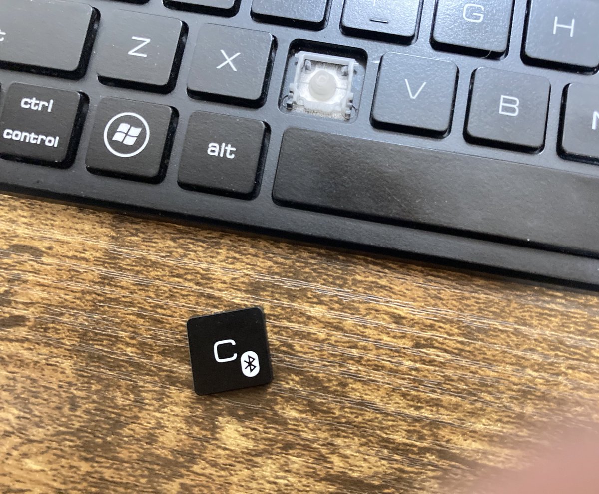 とれたてのCです‼️