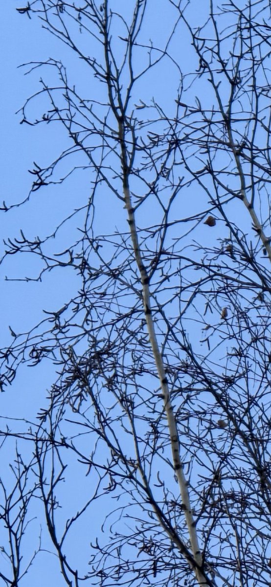 Ice Universe tweet media