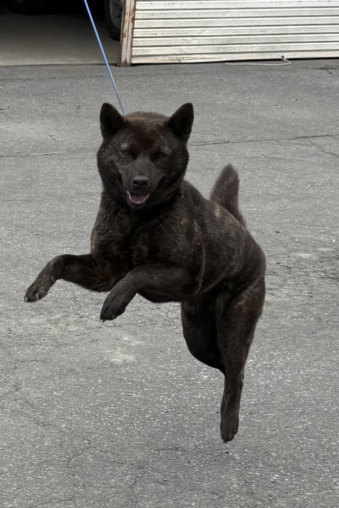 ヒヒーン🐴って言ってそうな写真あった
この時のためのポーズだったのね👍