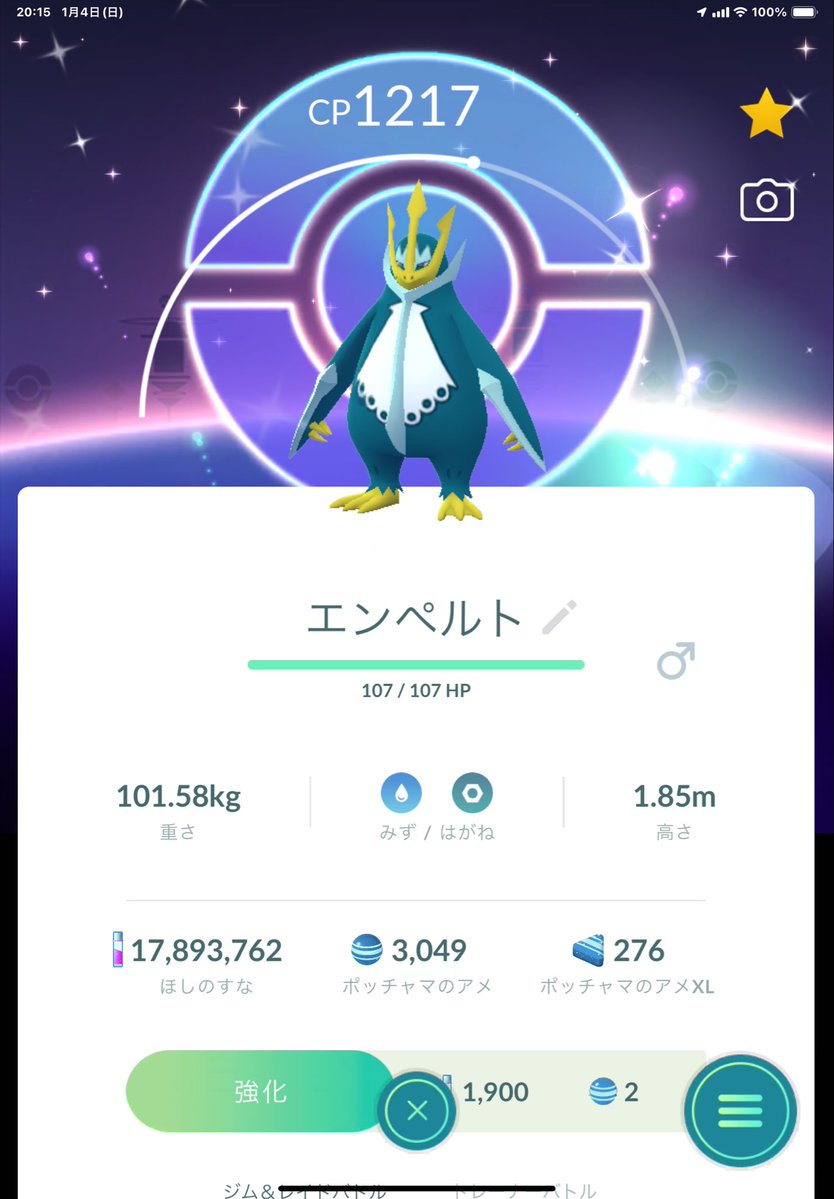 今日色違い42匹ゲットした ポッチャマは40匹で 背景色違い1匹MAX個体1