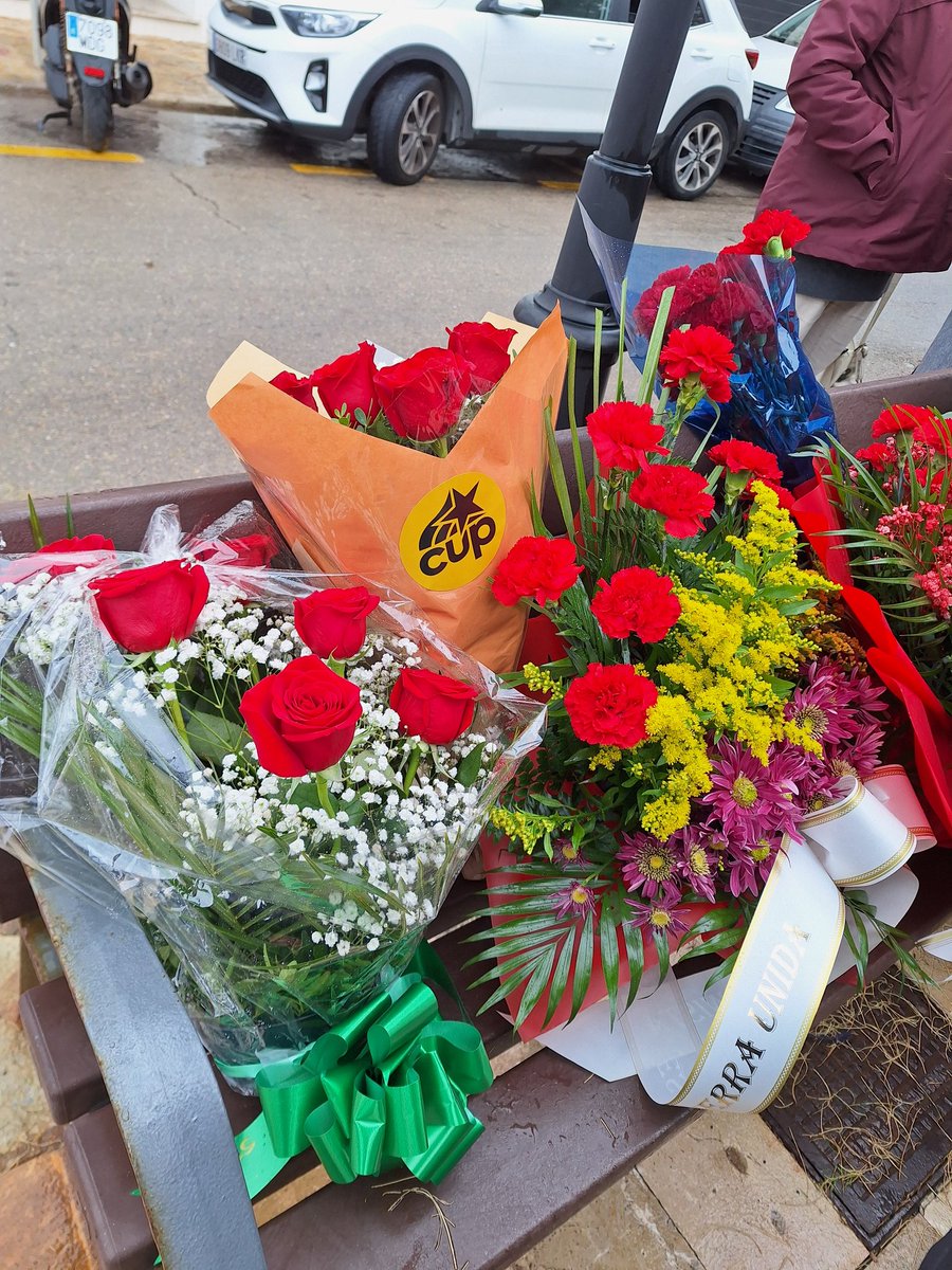 CUP-Crida per Palma tweet media