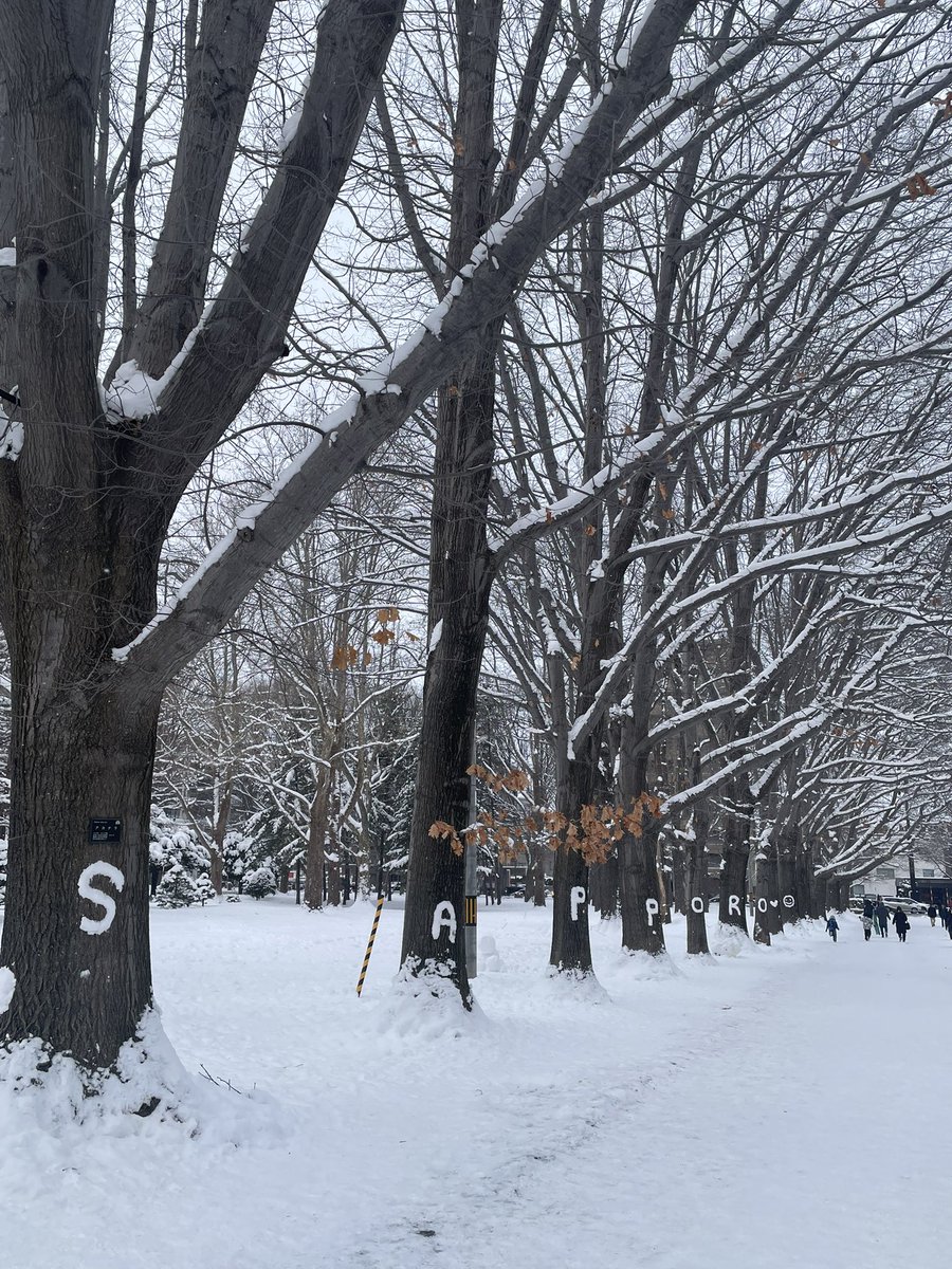 北海道神宮に初詣で行く道、円山公園入り口を右折して表参道に向かう道の途中でこんなカワイイのがあった☺️