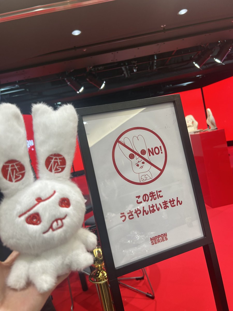 どんぐり tweet media