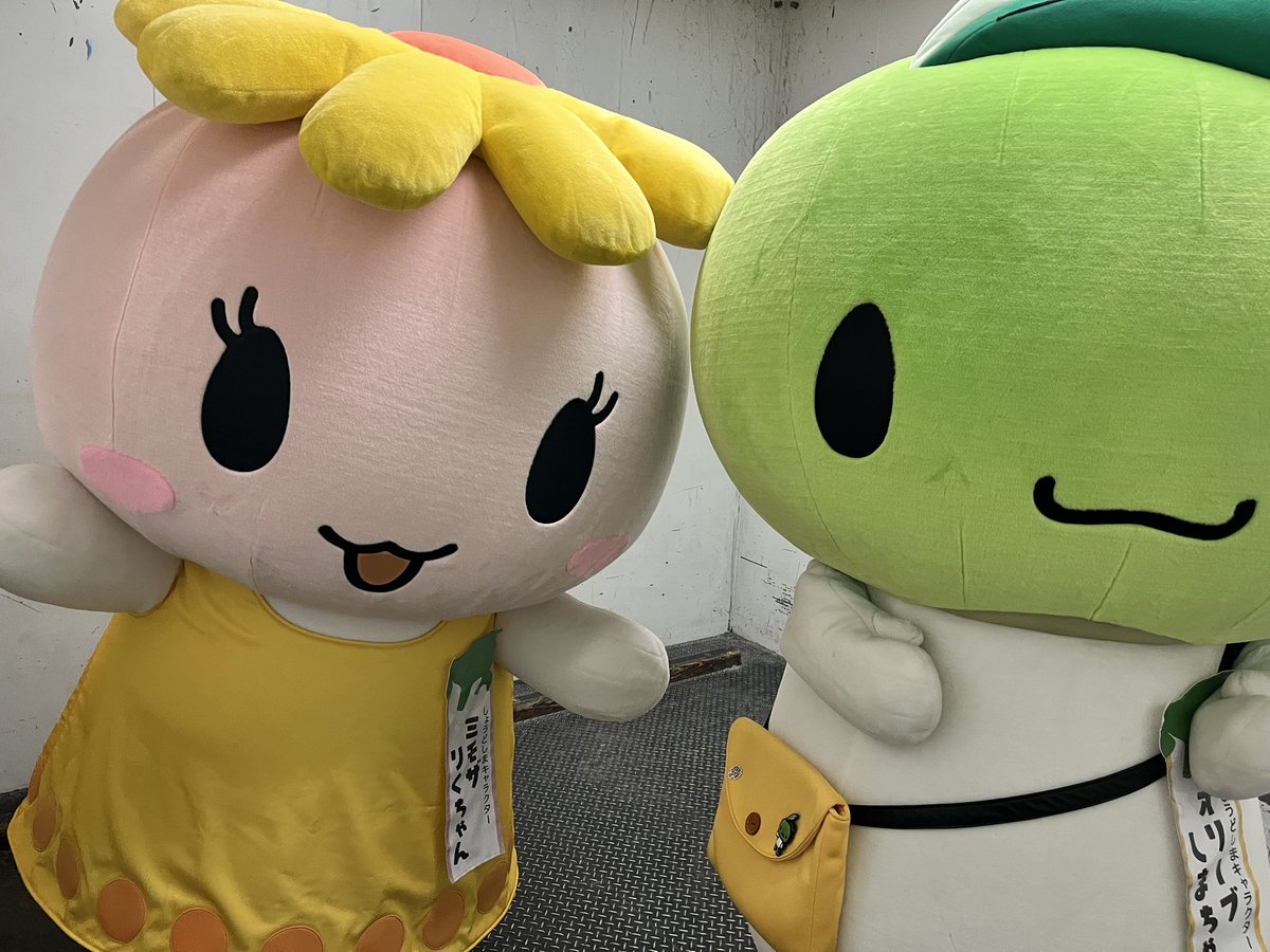 オリーブしまちゃんとミモザりくちゃん！ いつも仲良しだよ♩ かわいい