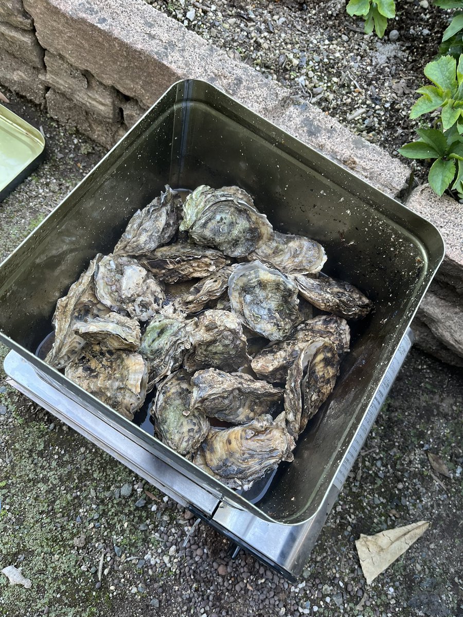 enitan1027's tweet photo. 知り合いから貰った牡蠣の蒸し缶🦪
めちゃくちゃ美味しくてすぐ無くなった😋
そして初の天外天🍜
ラーメンって見ると食べたくなる🤣笑 https://t.co/NChq6IUqFS