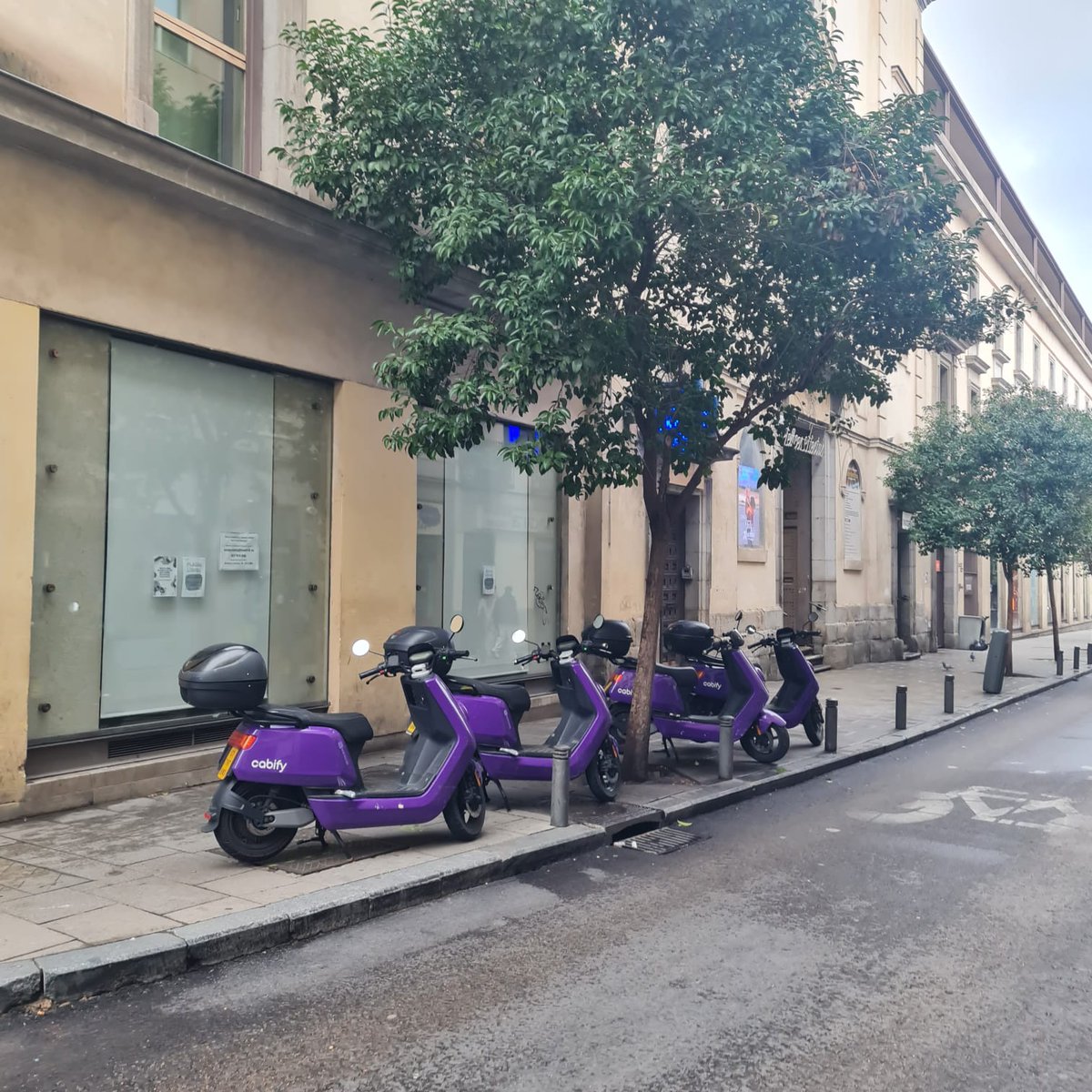 Asoc. Vecinos Chueca y Salesas tweet media