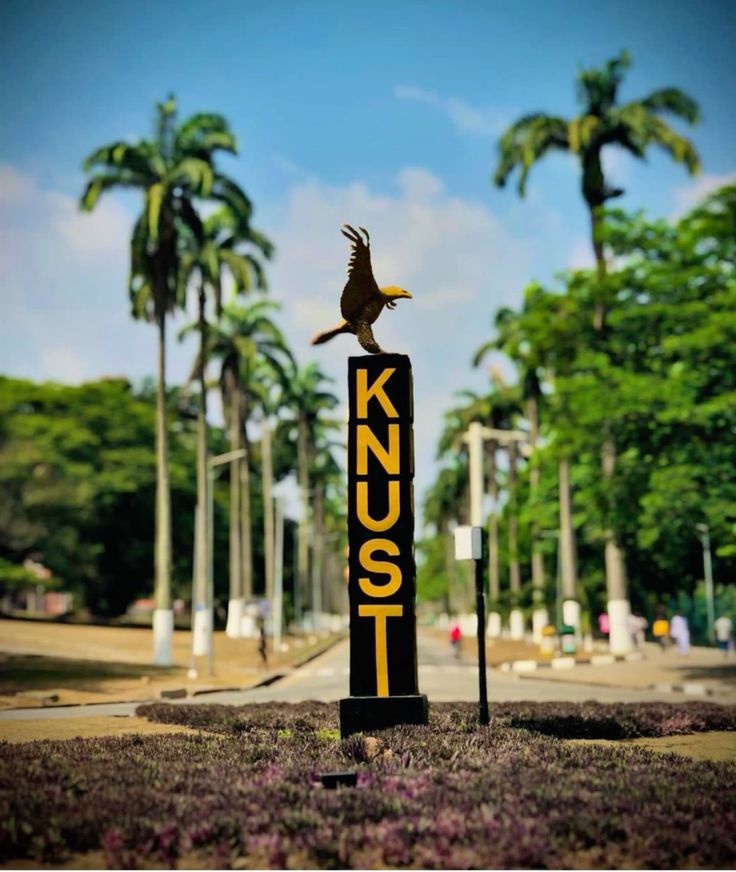 Student's Guide Podcast tweet media