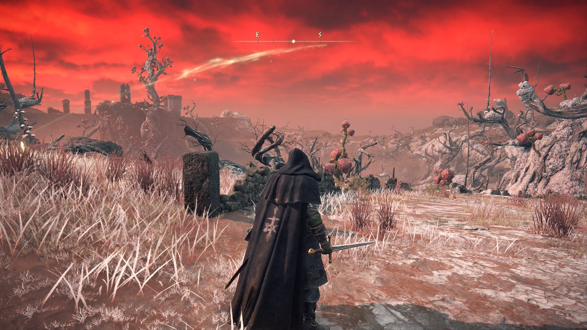 I really shouldn’t be here.