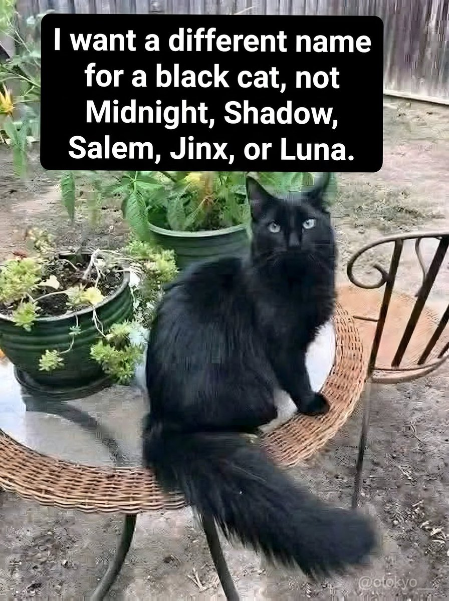 Matt_Pinner's tweet image. I want a different name......