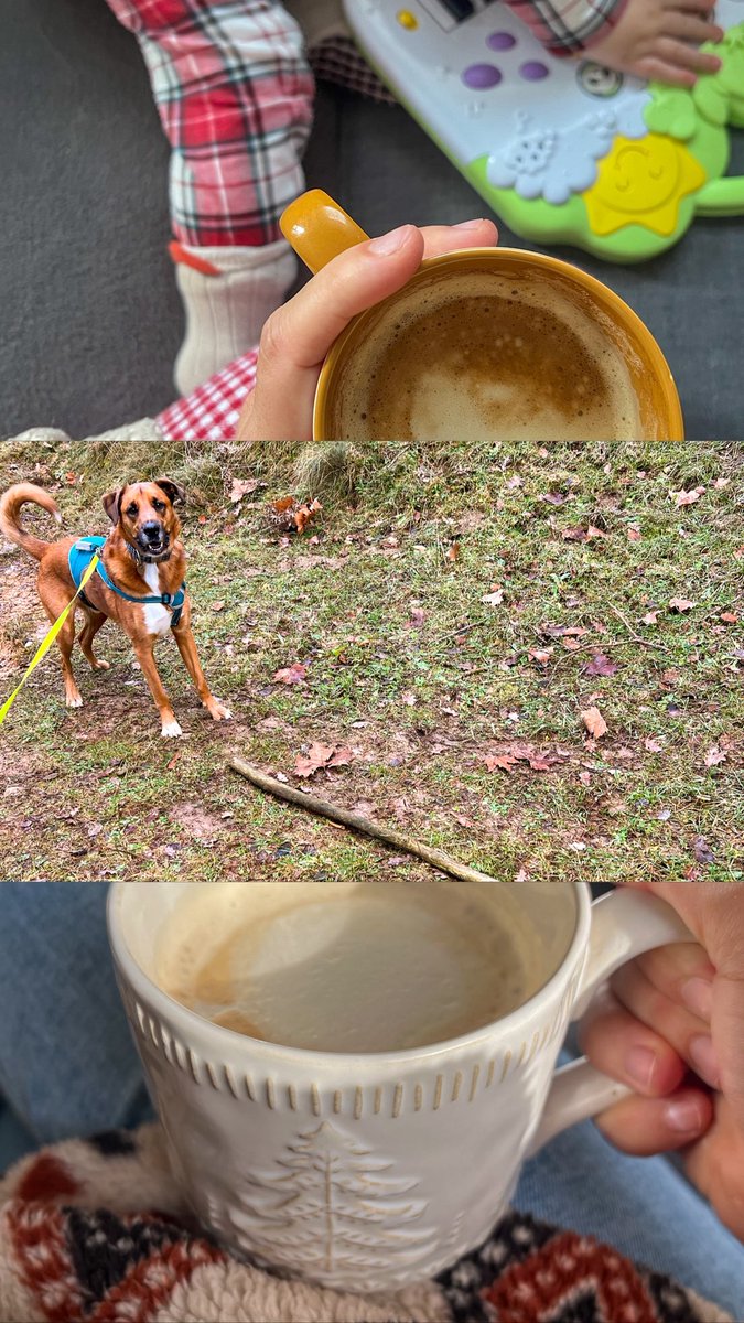 De celebrar l’entrada d’any amb Tailandia a sobreviure 4 dies a base d’Aquarius de🍋. Vall de Núria amb neu com feia temps que no es veia, postals d’un Ripollès beeen hivernal i manualitats per tenir-ho tot a punt per anar a esperar els Reis. 2026 has començat fort 🚀🐞🚡❄️