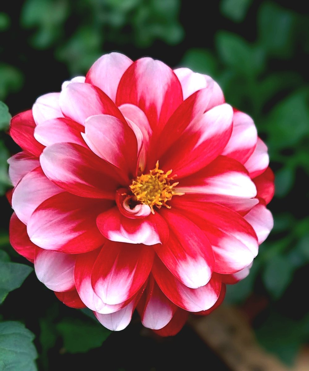 ちゅん (@aebBN6iwx957557) / Posts / X