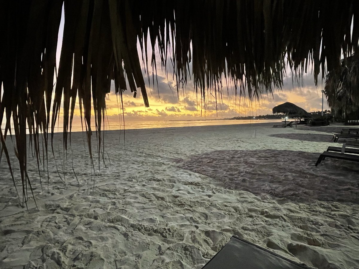 Randy Patrick tweet media