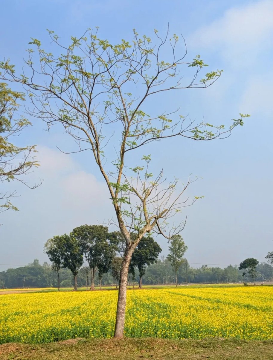 SHANKAR LAL SHARMA tweet media