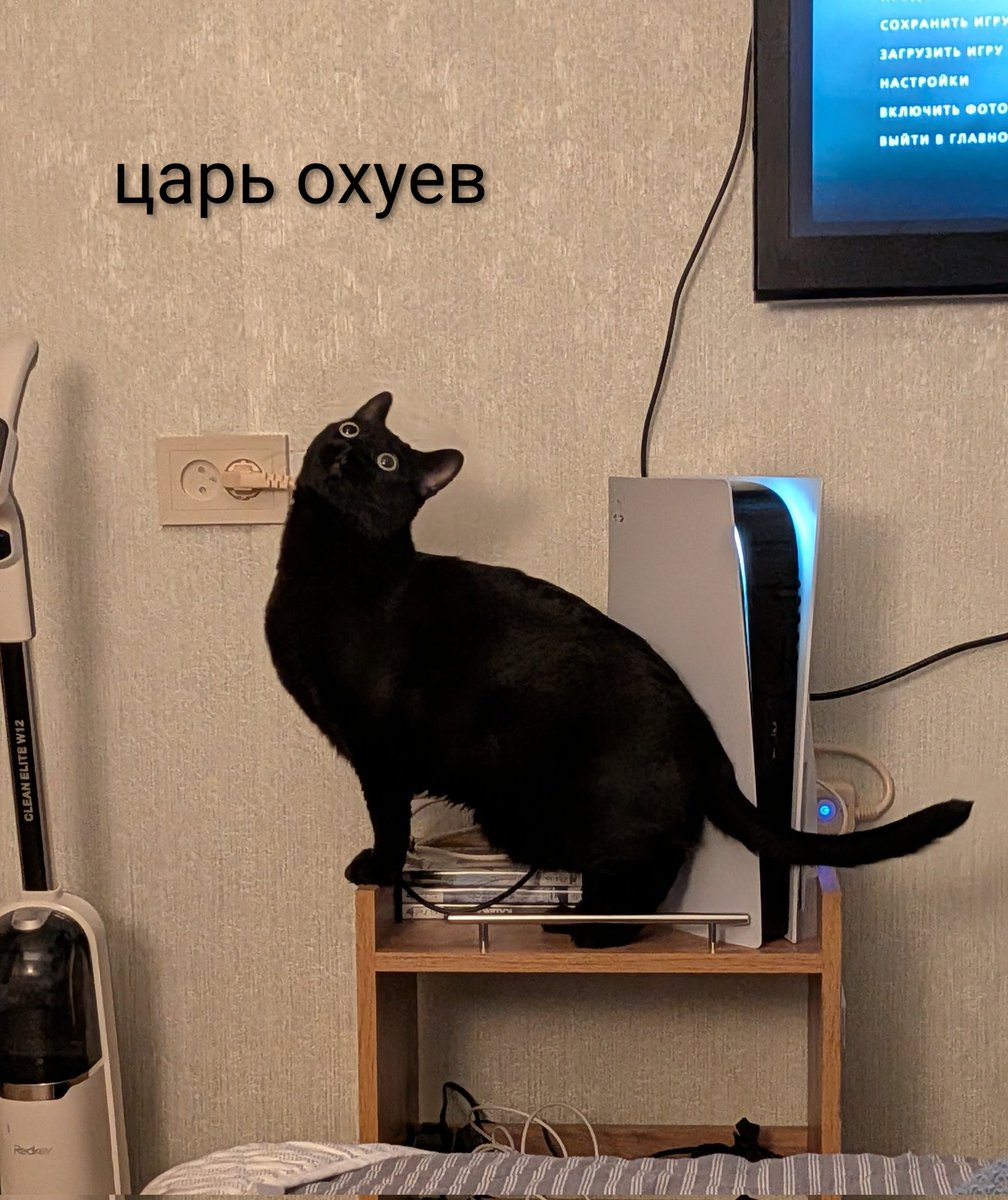 Вам нужно это увидеть))) вчера в чате родился идеальный триптих