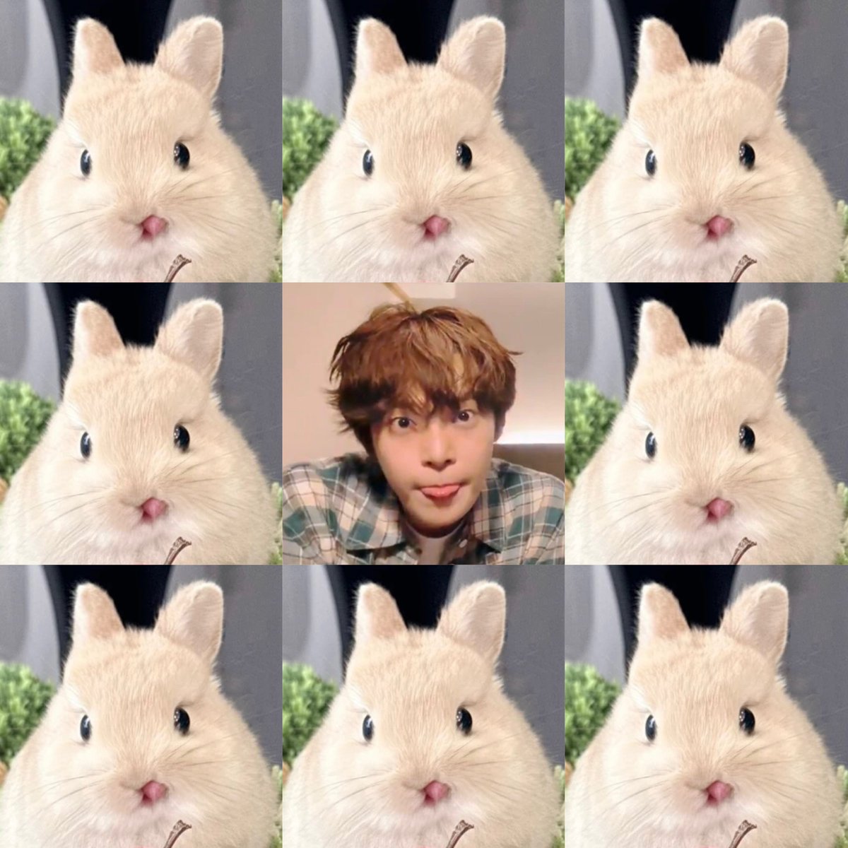 도영 D-519

doyoung blep 😛

#도영 #DOYOUNG